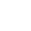 Metanept logo