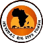 The Big Five Token logo
