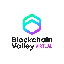 Blockchain Valley Virtual logo