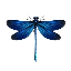 Dragon Fly logo