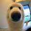 Boop logo