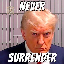 NEVER SURRENDER logo
