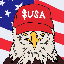 American Coin logo