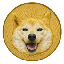 Neiro Solana (neirobropump.com) logo