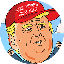 TRUMP IP logo