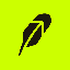 SpaceX Tokenized Stock (Robinhood) logo