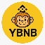 Yellow BNB logo