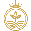 RAI Token logo