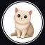 Cash Cat (cashcat.store) logo