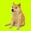 Cash Dog (cashdog.club) logo