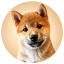 MEEKO logo