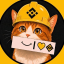 BINANCE CAT (bnbcat.site) logo
