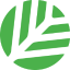 Canopy logo