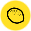 Ripe DAO Governance Token logo