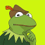 Robin the Frog logo