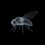 Flybrain logo