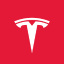 Tesla Inc. Tokenized Stock (Coinbase) logo