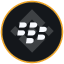 Blackberry Tokenized bStocks logo