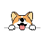 Corgidoge logo